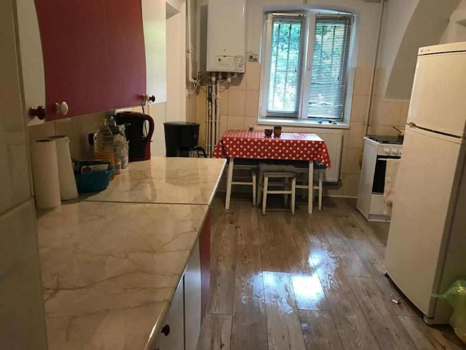 R Castle - 2 Room Apartment Braşov Exteriör bild